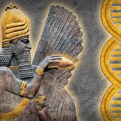 UCM ANUNAKIS, GRISES, REPTILIANOS y algo más