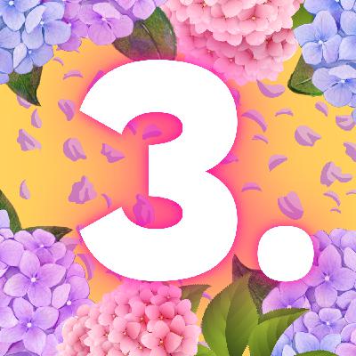 3. Siblings 3. Siblings