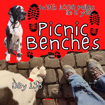 Day 138 – Picnic Benches - Walk 1000 Miles in a Year #walk1000miles #WillowWalks1000Miles