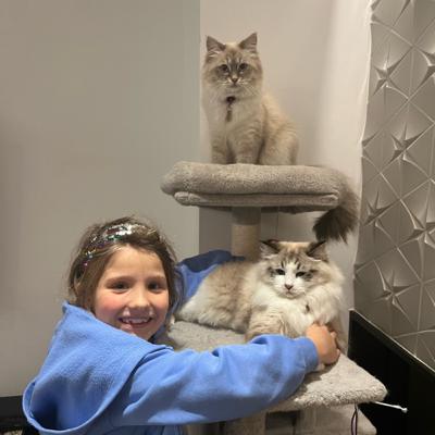 Dziewczynka Maja zamieniona w ptaszka