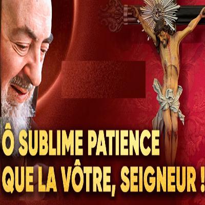 Padre Pio : « Mon fils, plutôt souffrir que compatir aux souffrances du Christ »