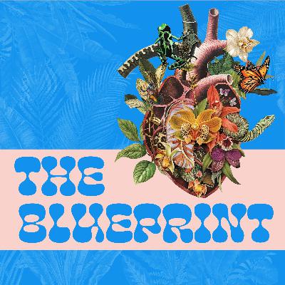 Financial Freedom Through Feminine Wisdom |The Blueprint Within with Marley Finnegan & Katie Stych
