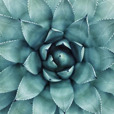 Олег Брагинский. Биохакинг или как заставить организм работать на полную. Читает Даниил Шмитт