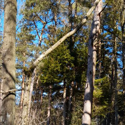 kennet andersen podcast who was saul in the bible 9 dec 2023 nr 624 kennet andersen podcast who was saul in the bible 9 dec 2023 nr 624