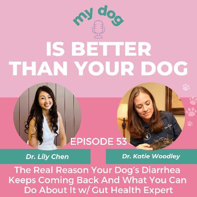 The Real Reason Your Dog’s Diarrhea Keeps Coming Back And What You Can Do About It w/ Gut Health Expert Dr. Katie Woodley