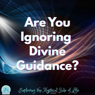 Are You Ignoring Divine Guidance? Are You Ignoring Divine Guidance?