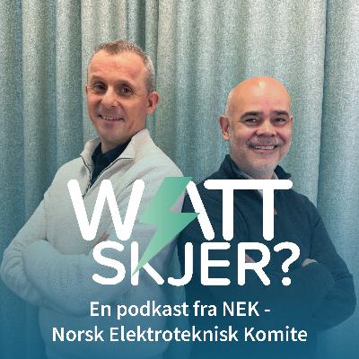 Digitale kraftsystemeter – livepod om KI, datasentre og energi