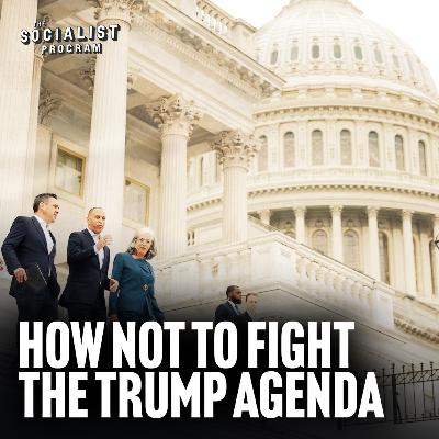 The Government Shut Down Is the Democrats’ Pathetic Response to Trump w/ Prof. Wolff