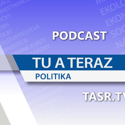 RAŠI: Reštart vzťahov Českej a Slovenskej republiky začali parlamenty