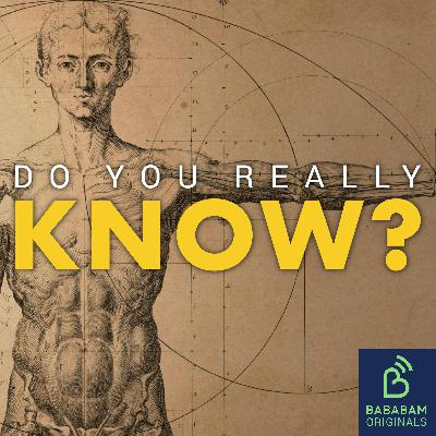 What happens to our bodies when we die? What happens to our bodies when we die?