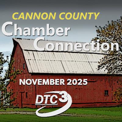 November 2025 November 2025