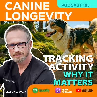 Tracking Activity -Why It Matters Tracking Activity -Why It Matters