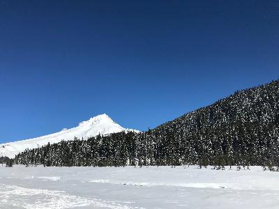 Optic Echo Presents 3/8/22