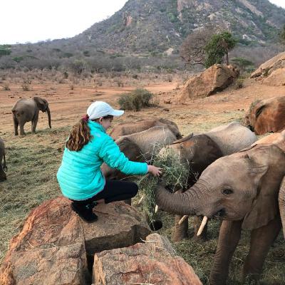 The Sheldrick Wildlife Trust The Sheldrick Wildlife Trust