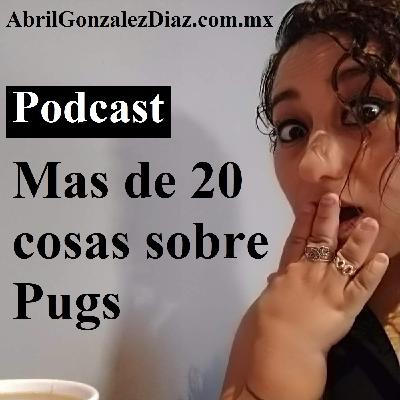 Podcast 019 – Mas de 20 cosas sobre Pugs