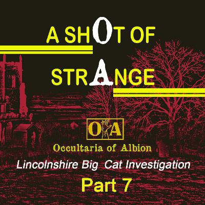 A Shot of Strange: Lincolnshire Big Cat Investigation, Part 7