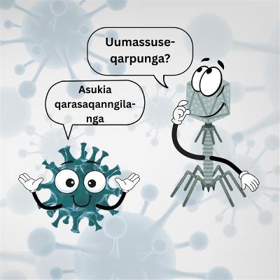 Uumassusilik sunaava? Uumassusilik sunaava?