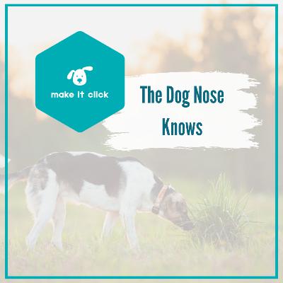 The Dog Nose Knows