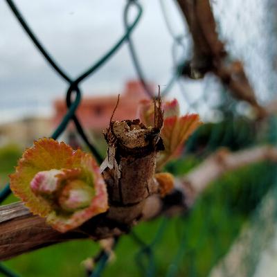 05. Bullismo 05. Bullismo