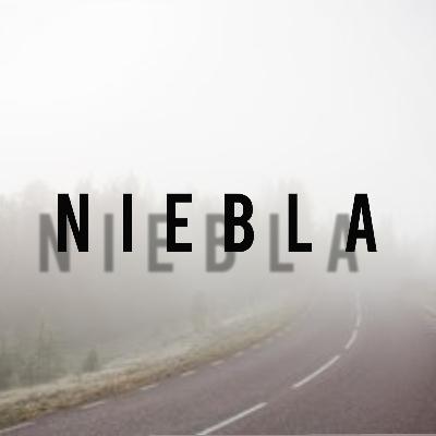 Espacio libre en la madrugada: Niebla