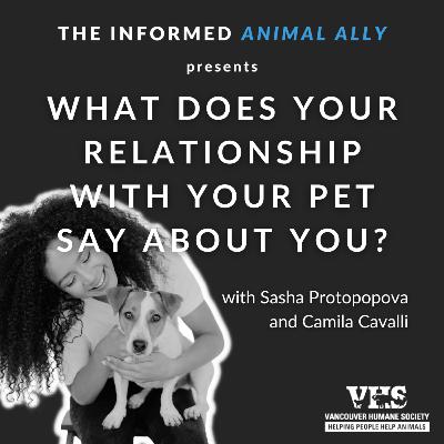 What does your relationship with your pet say about you?