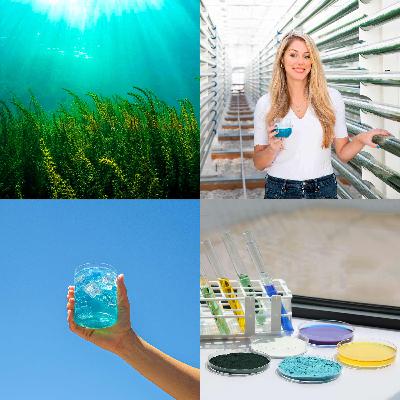 THE SPIRULINA REVOLUTION with FUL FOODS Co-Founder Julia Streuli & Oberon Sinclair THE SPIRULINA REVOLUTION with FUL FOODS Co-Founder Julia Streuli & Oberon Sinclair