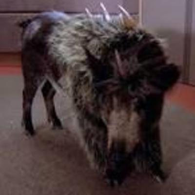 Scots Klingons:Episode 3: The Travelling Targs