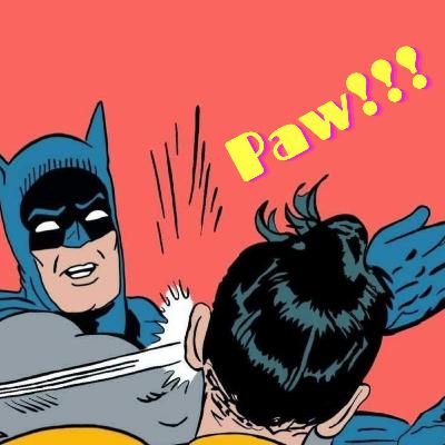 Pero es Batman Perri !! Pero es Batman Perri !!