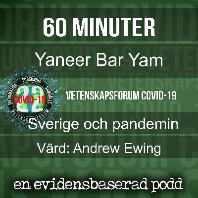 Yaneer Bar-Yam – Sverige och pandemin