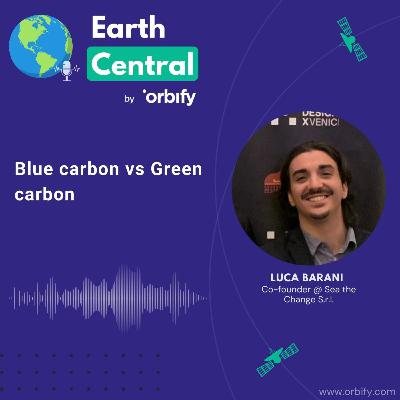 Blue carbon vs green carbon with Luca Barani, Sea the Change