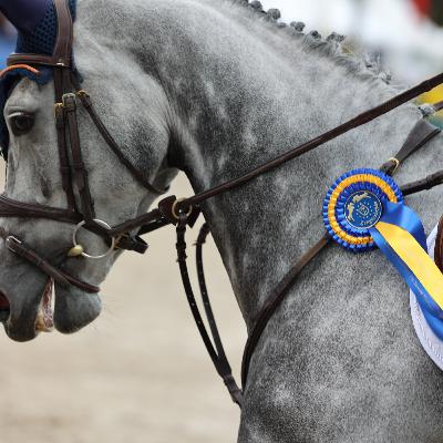 EQUTALK 14: "Is een WK 6, 7 en 8 jarige paarden geen optie?" EQUTALK 14: "Is een WK 6, 7 en 8 jarige paarden geen optie?"