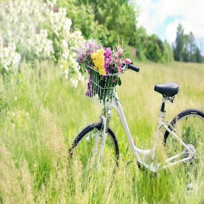 Season 1, Episode 9:  The Boomer Boost:  Embracing Spring For A Healthier Life