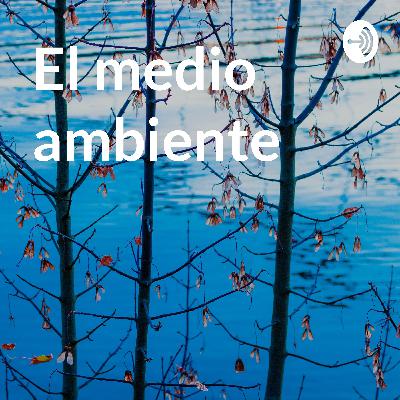 El medio ambiente