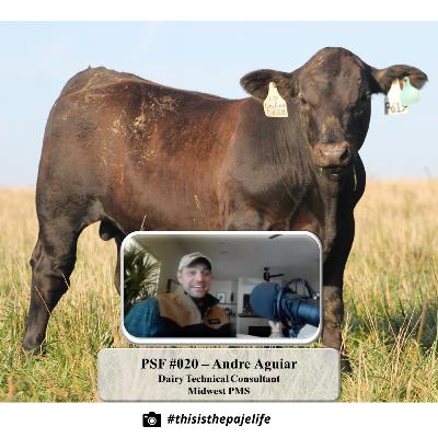 PSF #020 - Andre Aguiar