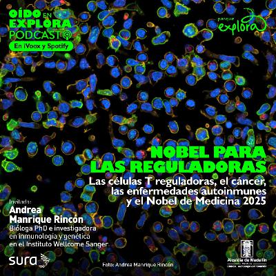 Cáncer, inmunoterapias, células T reguladoras y el Nobel de Medicina 2025 Cáncer, inmunoterapias, células T reguladoras y el Nobel de Medicina 2025