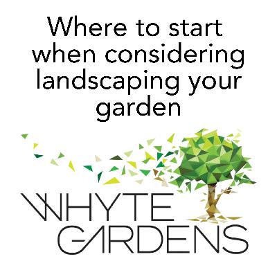 Where to start when considering landscaping your garden