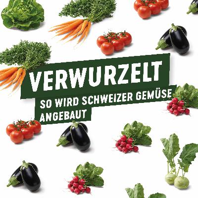 Von Bio-Märkten zu High-Tech-Anbau: Eine Reise in die Welt der Bio-Landwirtschaft