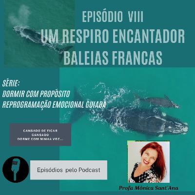 Episódio VIII - Um respiro encantador