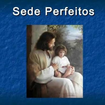 SEDE PERFEITOS