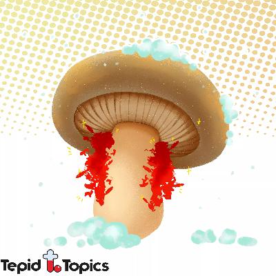 ep. 28 // snow, fungus & feathers