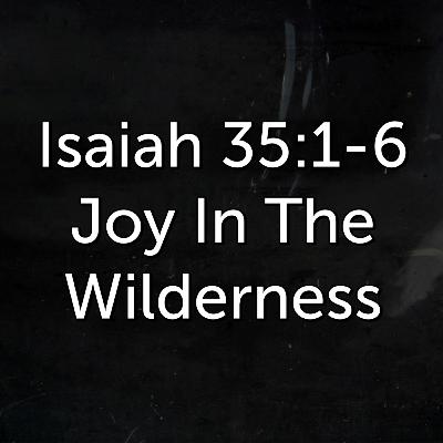 Joy In The Wilderness