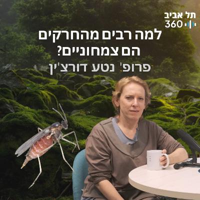 ?למה רבים מהחרקים הם צמחוניים ?למה רבים מהחרקים הם צמחוניים