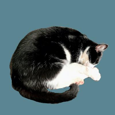 Episode 10 Opgebrand uitgeblust