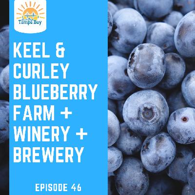 Keel and Curley Winery, Blueberry Farm, and Brewery [Plant City]