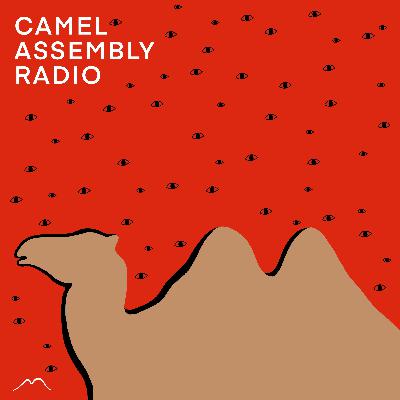 BONUS EPISODE - FOUNDERS Q&A