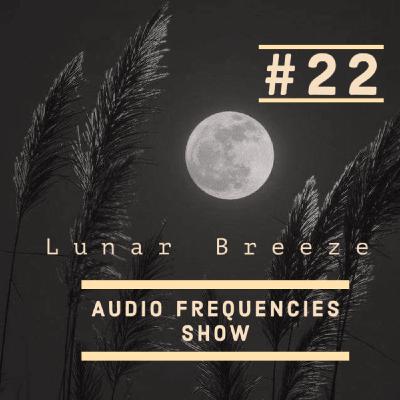 Audio Frequencies Show - Episode #22 [Mixed by Lunar Breeze]