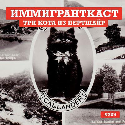 Три Кота из Пертшайр - выпуск 209