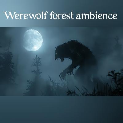 🎧 Werewolf forest ambience🐺