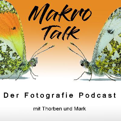 034 Im Gespräch mit Totholz Thomas Teil 3