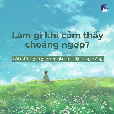 Làm gì khi cảm thấy choáng ngợp? | 10 phút hít thở | Bài thiền ngắn giúp thư giãn, xoa dịu căng thẳng
